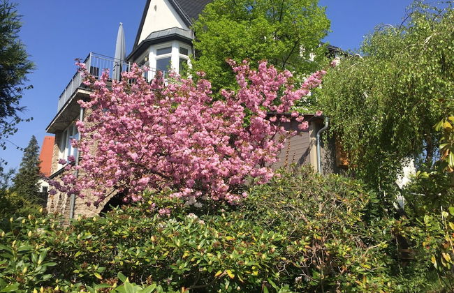 Ferienwohnungen Burkhardt - Foto 55