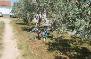 Apartman Grbić - Photo 20