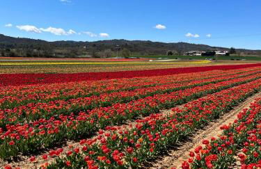 Provence Sweet Home - Foto 39