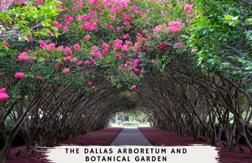 Best of Desoto 4BR, 3BA with Pool, HotTub, Cinema - Foto 54