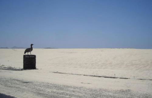 LOVELY VILLA - Pool front, private roof terrace, WIFI Fiber optic - Photo 24