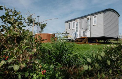 Shepherds Hut at Chenhall Farm - Photo 39