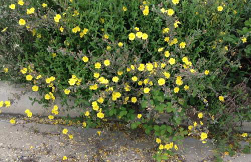 El Mirador de los Trobos - Foto 28