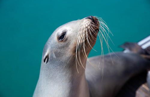 Casa Las Torres 209 - Foto 23