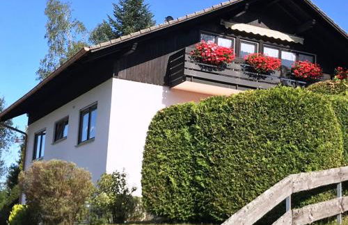 Ferienwohnungen Am Skilift - Foto 5