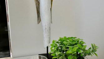 Frisch renovierte Privatunterkunft in Kulmbach - Foto 5