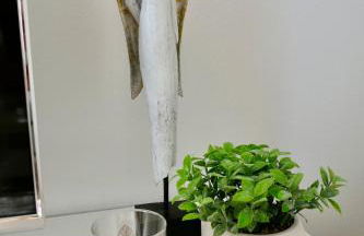 Frisch renovierte Privatunterkunft in Kulmbach - Foto 5