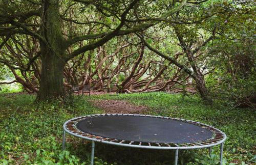 Catchfrench Manor - Foto 27