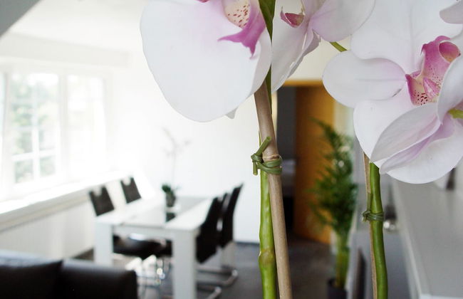 La Domus Premium - Photo 13