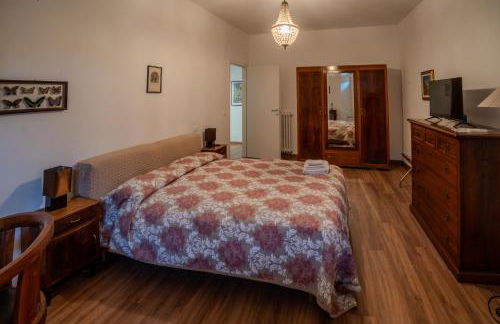 "Le Caraffe" Alatri - Alloggio per uso turistico - Foto 17