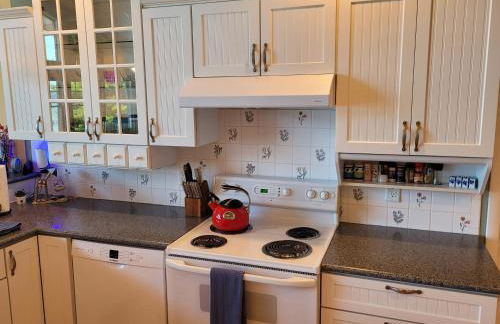 Trader Scott's - Lakefront and Gorgeous! - Foto 21