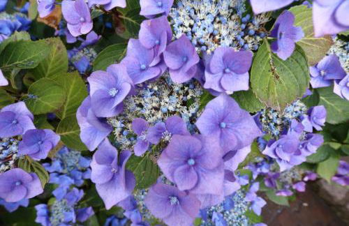 Hausteil Ruusenhoog - Foto 27