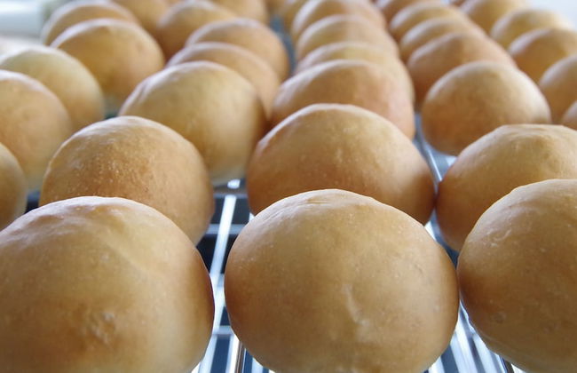 Gassan Pole Pole Farm - Foto 16