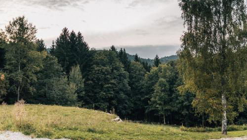 Ferienhaus Woidhaus - Foto 3