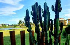 Villa das Águas - Térreo frente lago - Photo 19