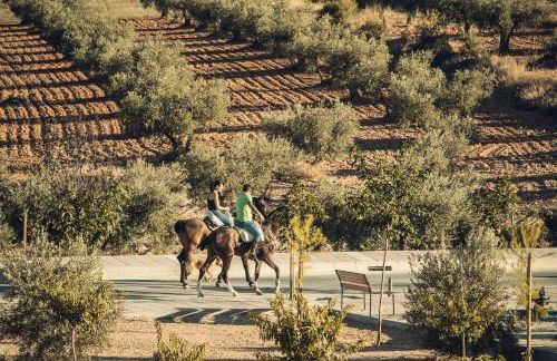 Complejo Rural La Tejera - Foto 52