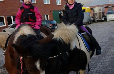 Wohlfühlurlaub auf dem Reit- und Ferienhof Goldberg - Foto 62
