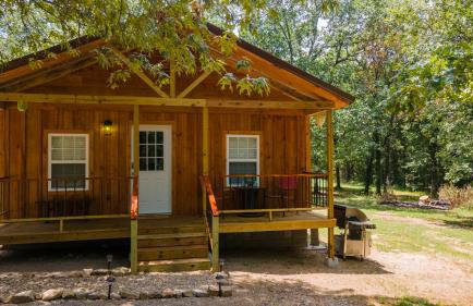 Halfmoon Hideaway-Cozy 2 bdr cabin Mena AR - Foto 78