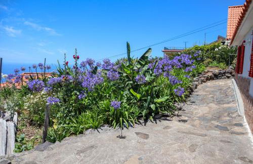 Casas Tipicas Candelaria Tabua - Photo 31