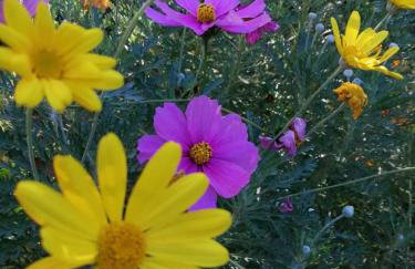 Apartman studio Dino Klimno - Foto 14