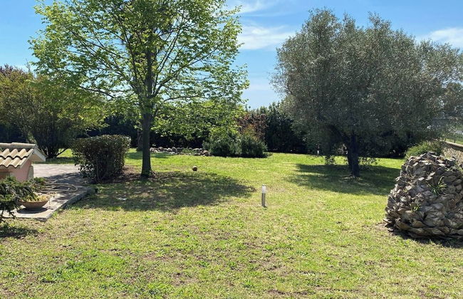 Nel verde, a mezz'ora dal centro di Roma - Photo 52