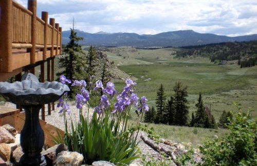 Luxury Cabin Rental with Breathtaking Views in Park County, Colorado - Foto 10