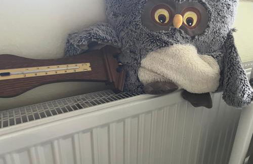 Unter den Wolken - Foto 24