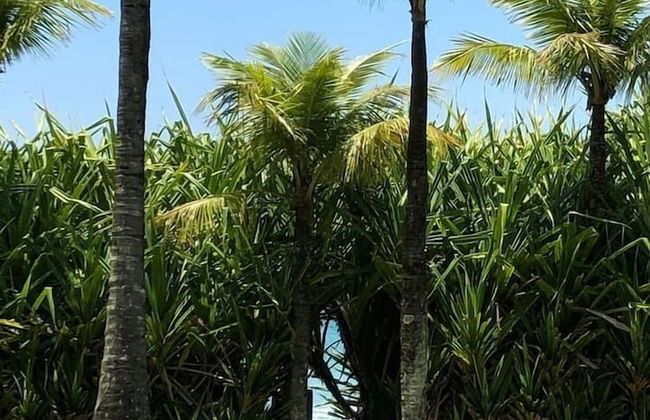 Maresias, Luxo e Estilo à Beira-mar - Foto 48