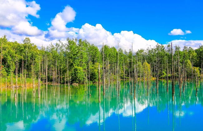 The Peak Villa Suite Hokkaido - Foto 53