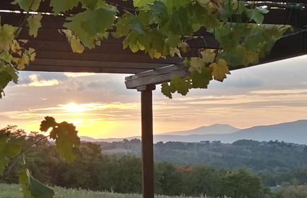 Agriturismo Valiana - Foto 57