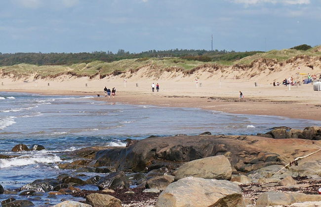 4 Star Holiday Home in Halmstad - Foto 22