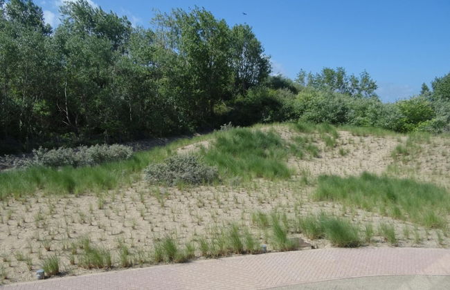 Apartment in Nieuwpoort Near the Beach - Photo 22