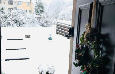 River house - Foto 43