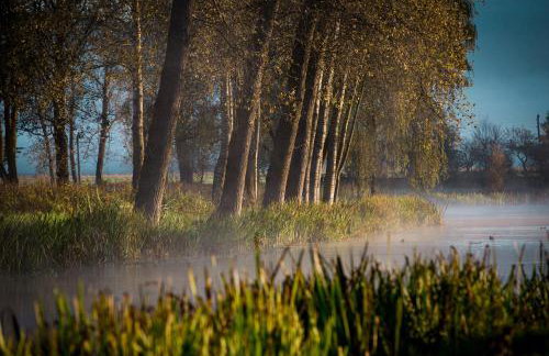 WoodenHouse with two Apartments - Foto 58