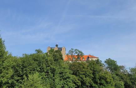 Falkenhof Meisdorf - Foto 13