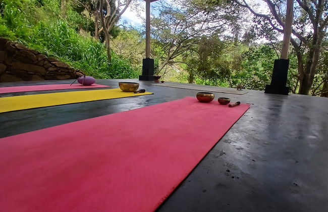 Ella Retreat Hotel - Photo 63