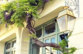 Maison Sollier - Foto 9