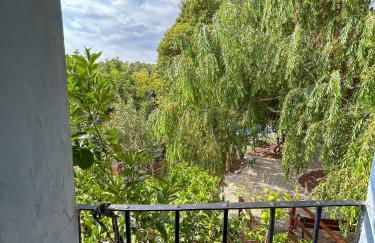 Finca Vitoria - Foto 22