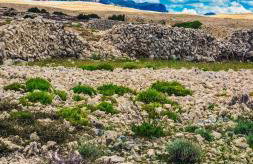 L'infini Sea View apartments Zubovići - Foto 59