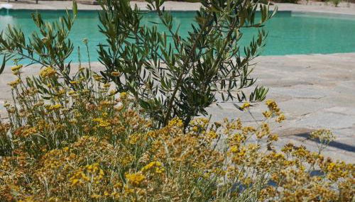 La tonnelerie, belle villa pour 9 personnes au coeur d'un vignoble avec piscine - Foto 4