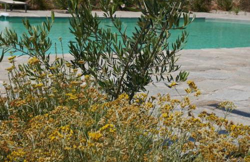 La tonnelerie, belle villa pour 9 personnes au coeur d'un vignoble avec piscine - Foto 4