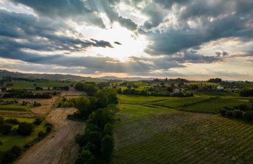 Montepulciano - La Casetta del Pian delle Noci - Foto 61