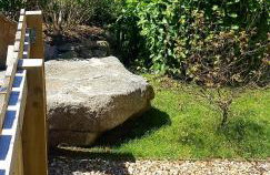 Honeysuckle Cabin - Photo 15