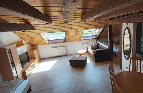 Penthouse Apartment near Nürnberg - Foto 69