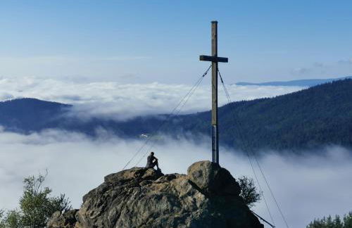 Altes Forsthaus Bodenmais - Foto 4