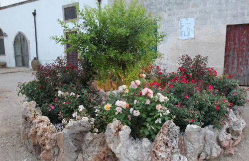 Masseria La Duchessa - Foto 24