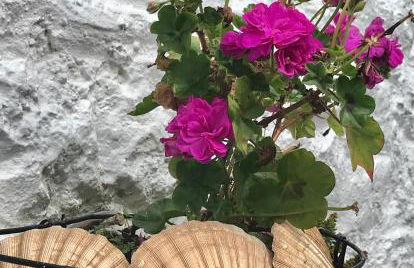 "FISHERMAN'S" Seconds from the Harbour & town centre with unlimited free parking nearby - Photo 37