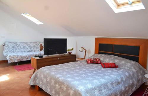 Lazy Lizard Studio - Foto 31