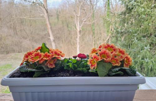 Ruralna kuća za odmor Marija - Photo 26