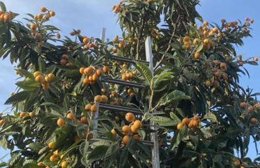 KRATHIS APARTMENTS ΜΕΓΑΛΟ - Foto 7